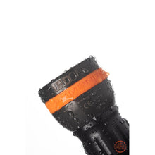 Load image into Gallery viewer, Ammonite LED ONE