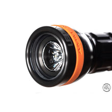 Load image into Gallery viewer, Ammonite LED ONE