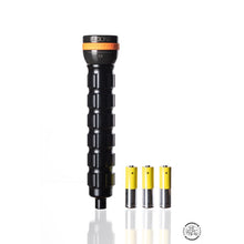 Load image into Gallery viewer, Ammonite LED ONE