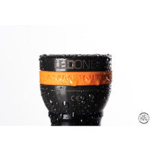 Load image into Gallery viewer, Ammonite LED ONE