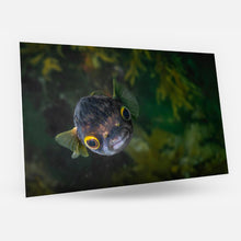 Load image into Gallery viewer, Card - Underwater Art