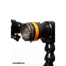 Load image into Gallery viewer, Ammonite LED STINGRAY MARK II VIDEO SET