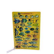 Load image into Gallery viewer, Fish ID Slate