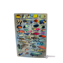Load image into Gallery viewer, Fish ID Slate