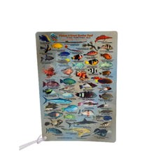 Load image into Gallery viewer, Fish ID Slate