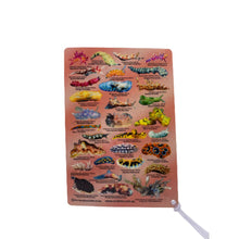 Load image into Gallery viewer, Fish ID Slate