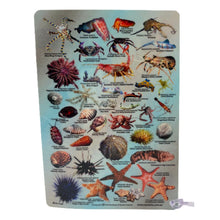 Load image into Gallery viewer, Fish ID Slate