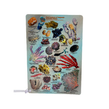 Load image into Gallery viewer, Fish ID Slate