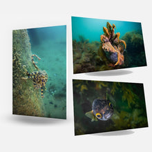 Load image into Gallery viewer, Card - Underwater Art
