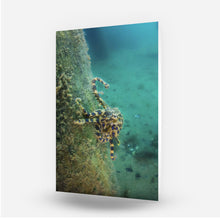 Load image into Gallery viewer, Card - Underwater Art
