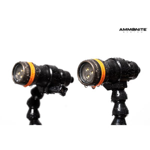 Ammonite LED STINGRAY MARK II VIDEO SET