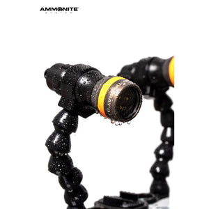 Ammonite LED STINGRAY MARK II VIDEO SET