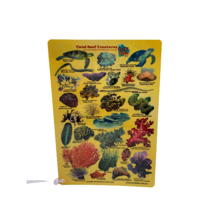 Fish ID Slate