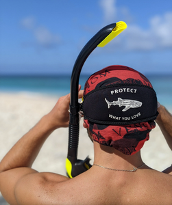 Protect What You Love Whale Shark Mask Tamer